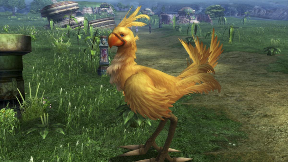 Chocobo