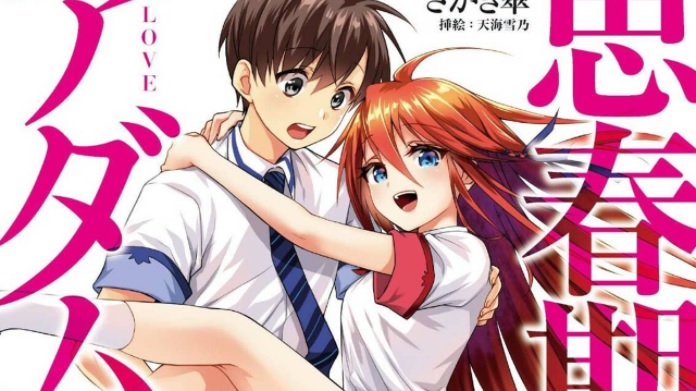 novel
