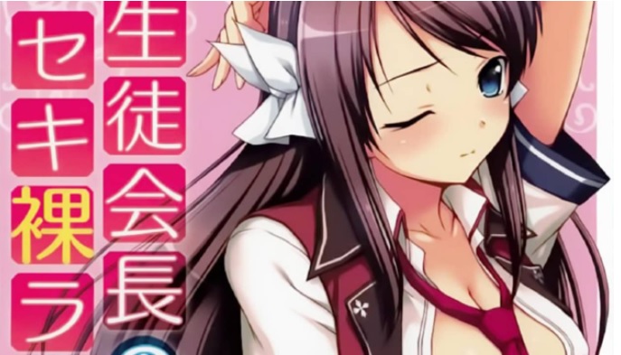 novel