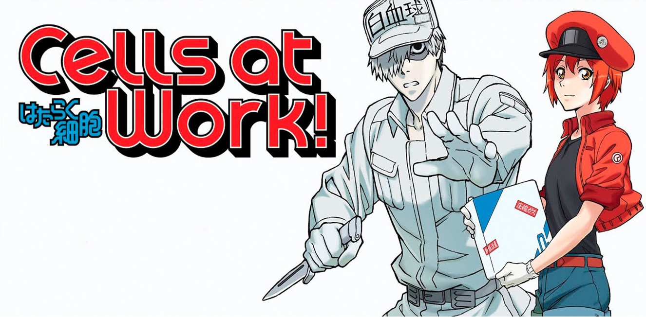 cells