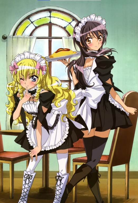 maid